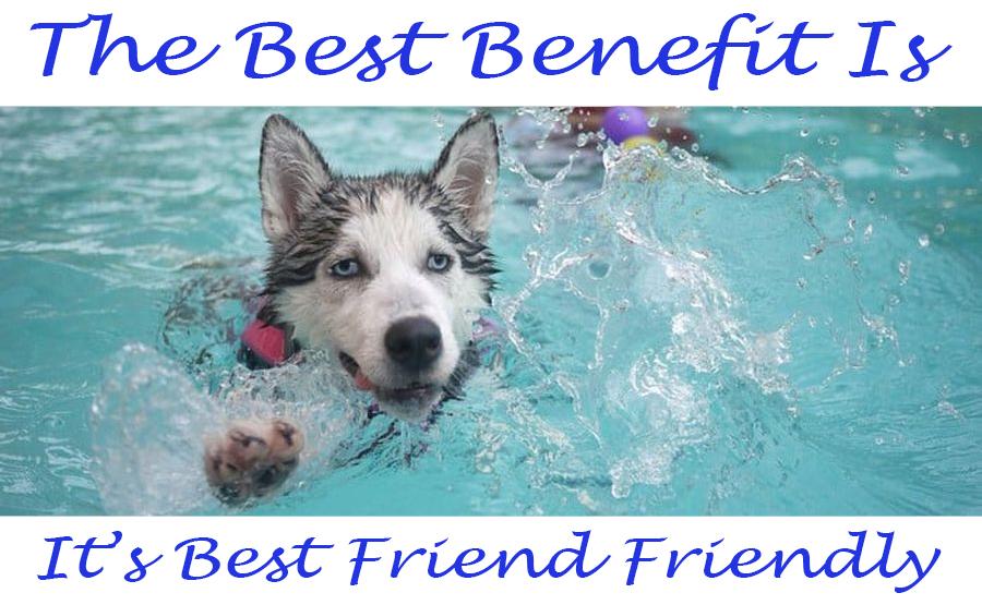 The PRACTICAL benefits of fiberglass pools