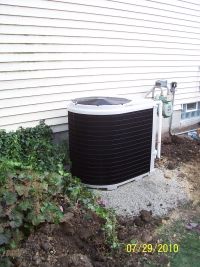 Powell Pool Install 12